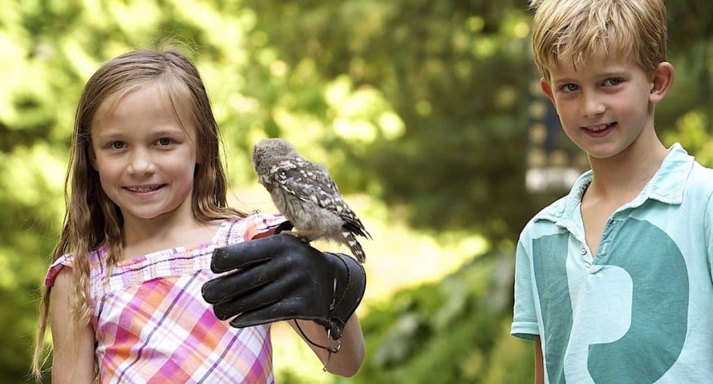 Weltvogelpark Walsrode Gutschein: Tickets 2025 mit 40 Prozent Rabatt