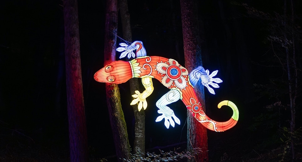 Eifelpark Leuchten