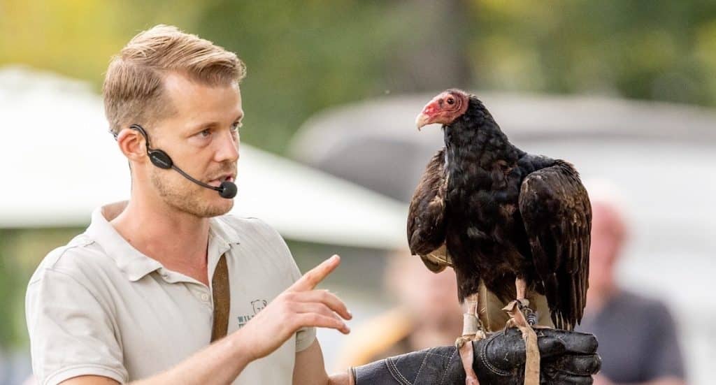 Niedersächsische Zootage: Freier Eintritt in 24 Zoos und Wildparks