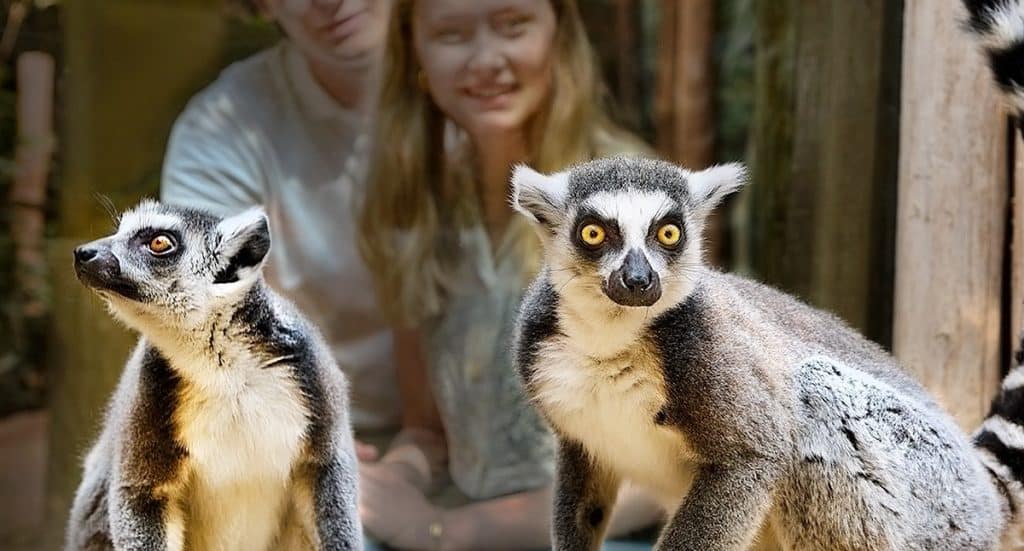 ZOOM Erlebniswelt: Halloween Programm 2025 vorgestellt