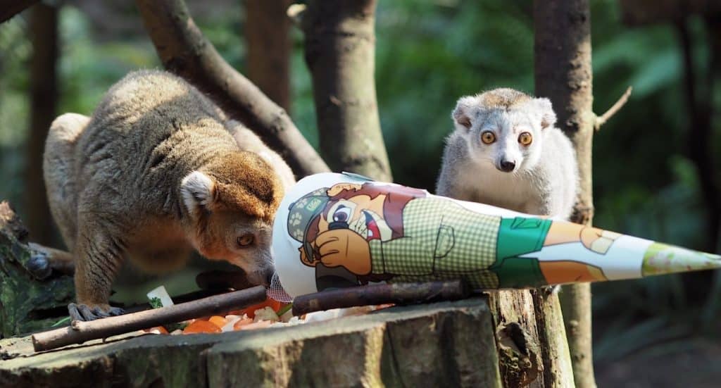 Zoo Leipzig: Modernes Terrarium in historischem Gewand eröffnet