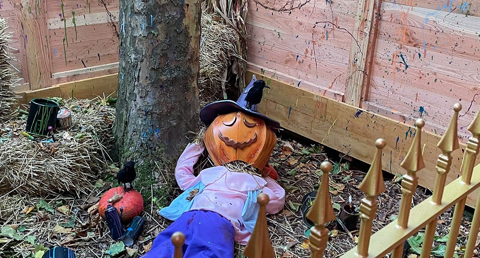 Bellewaerde eröffnet Halloween-Labyrinth „Kürbispanik“