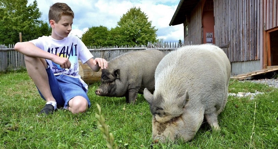 Freizeitpark Rotfelden Gutschein Ticket mit 40 Prozent Rabatt