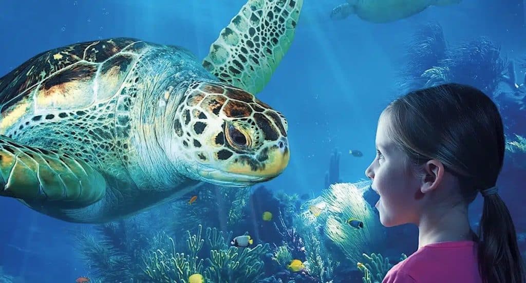 SEA LIFE Oberhausen Gutschein: 4 x 25 Prozent Rabatt