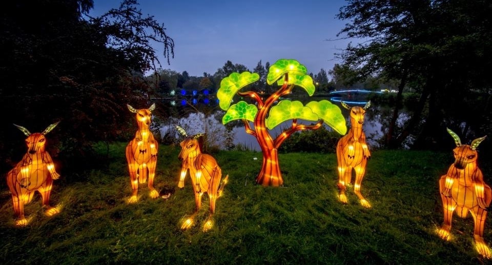 Serengeti-Park Lichterfestival ab dem 2. November 2025