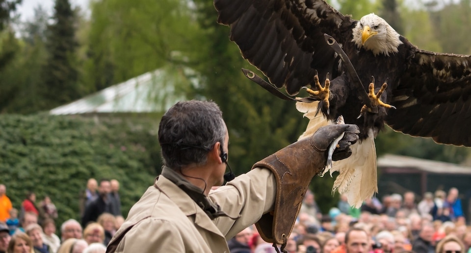 Weltvogelpark Walsrode Gutschein 2026 Ticket mit 40 Prozent Rabatt