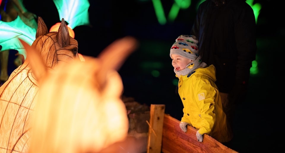 Wunderland Kalkar „Wunderlight“-Tage im Winter 2025 2026