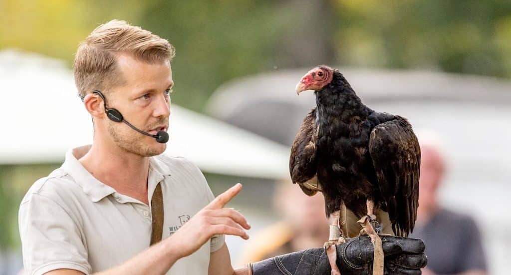 ErlebnisCard Lüneburger Heide: Freizeitpark Rabatte 2026