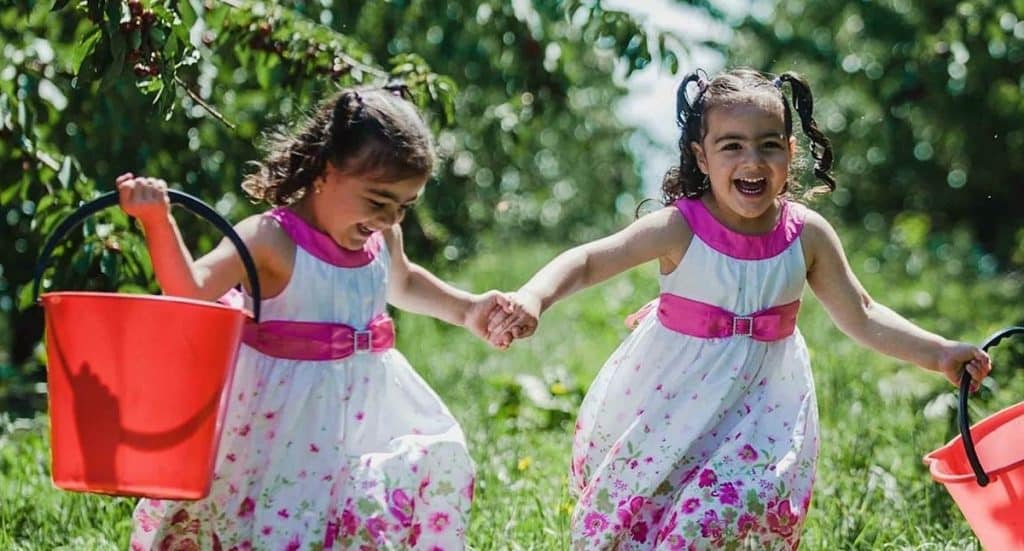 Erlebnishof Gut Hügle Gutschein Ticket mit 50 Prozent Rabatt