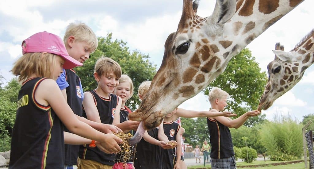 Jaderpark Tickets in der „Black Week“ mit 10 Prozent Rabatt erhältlich