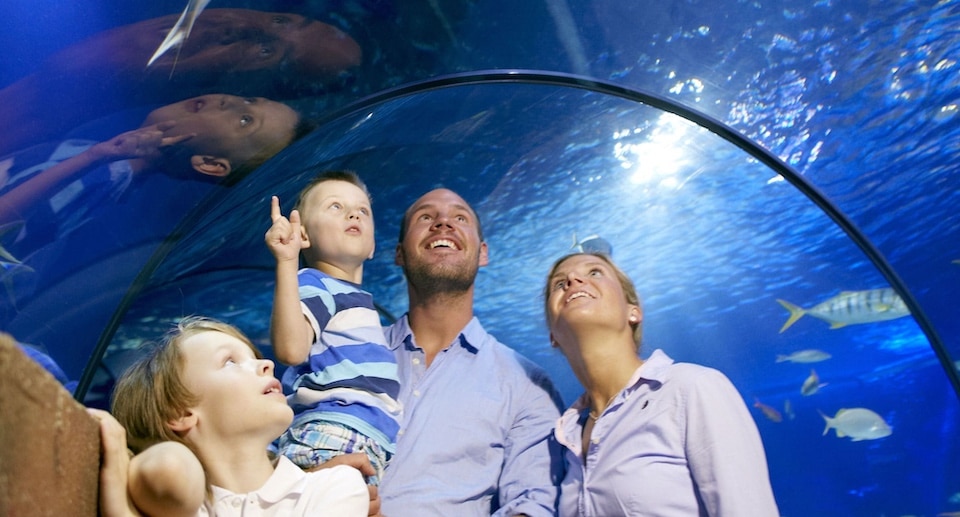 SEA LIFE Hannover Gutschein 2026 mit 1,90 Euro Rabatt