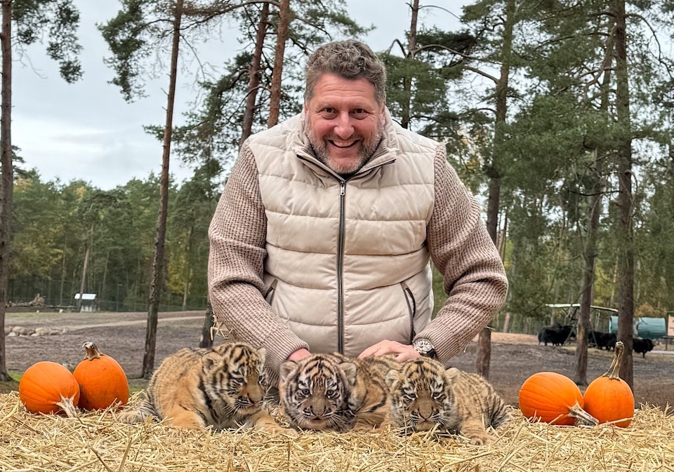 Serengeti-Park Tiger Nachwuchs Fabrizio Sepe