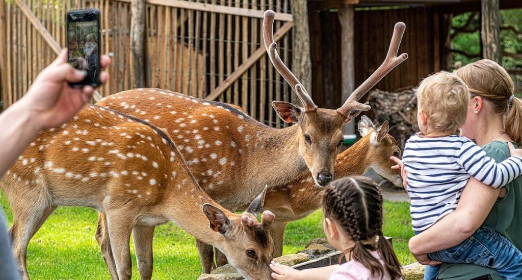 Tierpark Nordhorn: „Zootag“ 2025 ermöglicht freien Eintritt