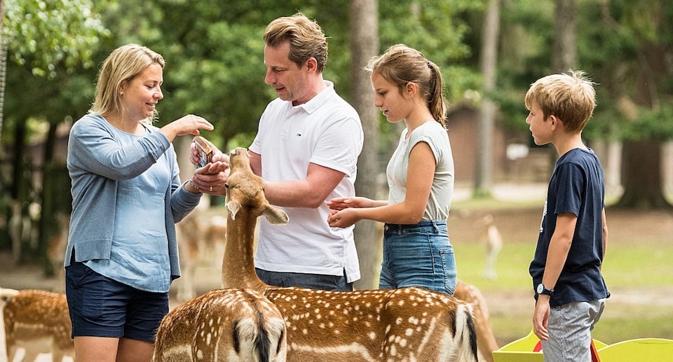 Wildpark Lüneburger Heide Gutschein 2026 mit 50 Prozent Rabatt