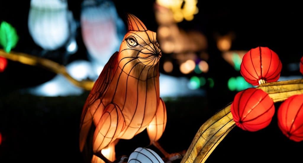 Wunderland Kalkar Gutschein „Wunderlight“ 2025 mit 30 Prozent Rabatt