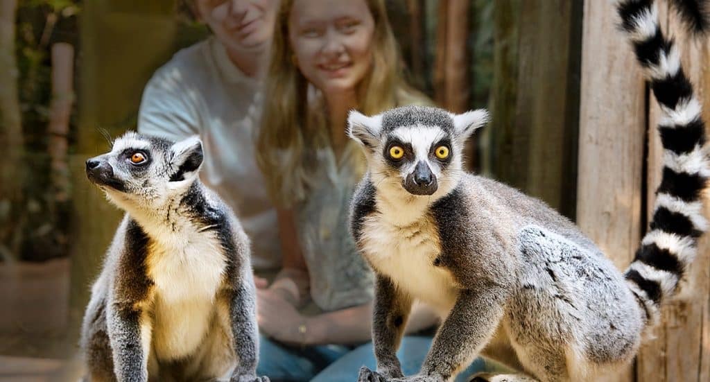 ZOOM Erlebniswelt Gutschein 2026 Ticket mit 38 Prozent Rabatt