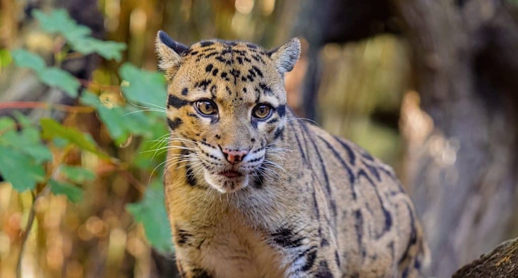 Zoo Duisburg Gutschein Ticket mit 25 Prozent Rabatt