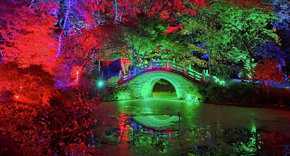 Zoo Duisburg Gutschein „Zoolichter“ mit 1,41 Euro Rabatt