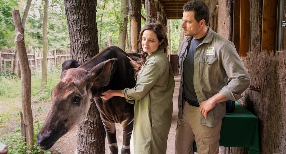 Zoo Leipzig: Freier Eintritt für Kinder zu Nikolaus 2025