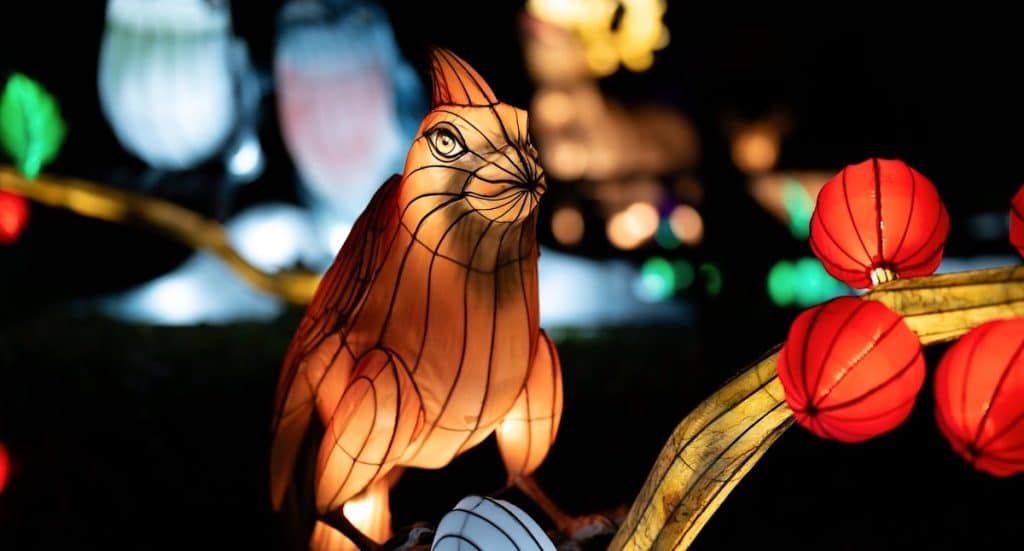Wunderland Kalkar: Wunderlight Lichtshow im Winter 2026 2027