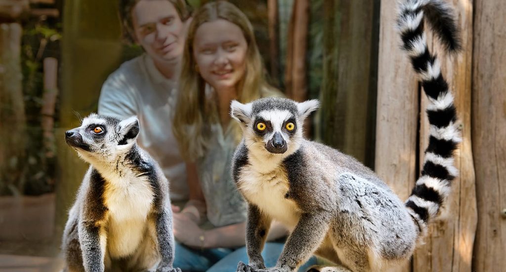 ZOOM Erlebniswelt: Halloween 2026 mit unheimlichen Gruselpfaden