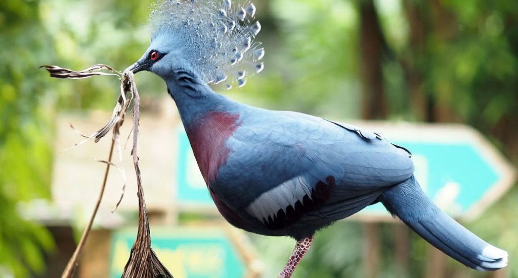 Zoo Leipzig senkt Preise: Familien sparen ab November 10 Euro